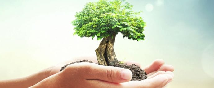 Золотые офферы: 5 самых щедрых офферов CPS