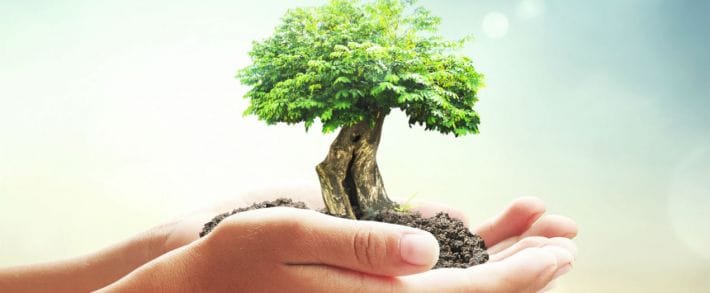 Золотые офферы: 5 самых щедрых офферов CPS