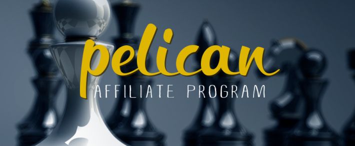 Партнерка под гемблинг-трафик Pelican Partners