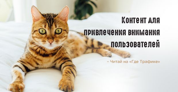 5 видов контента, которые точно привлекут пользователей