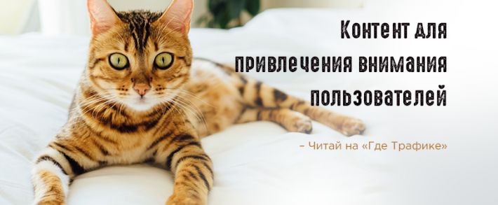 5 видов контента, которые точно привлекут пользователей