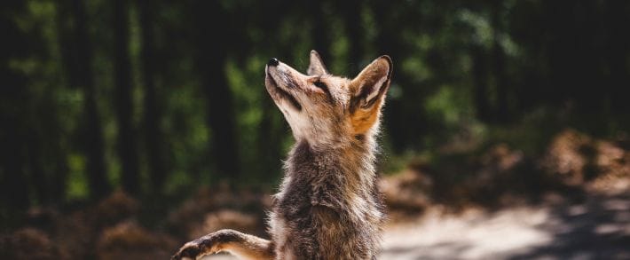 Эй, дашь дайджест почитать?