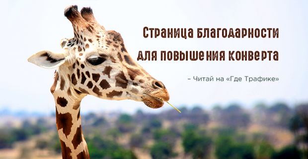 Страница благодарности для повышения конверта