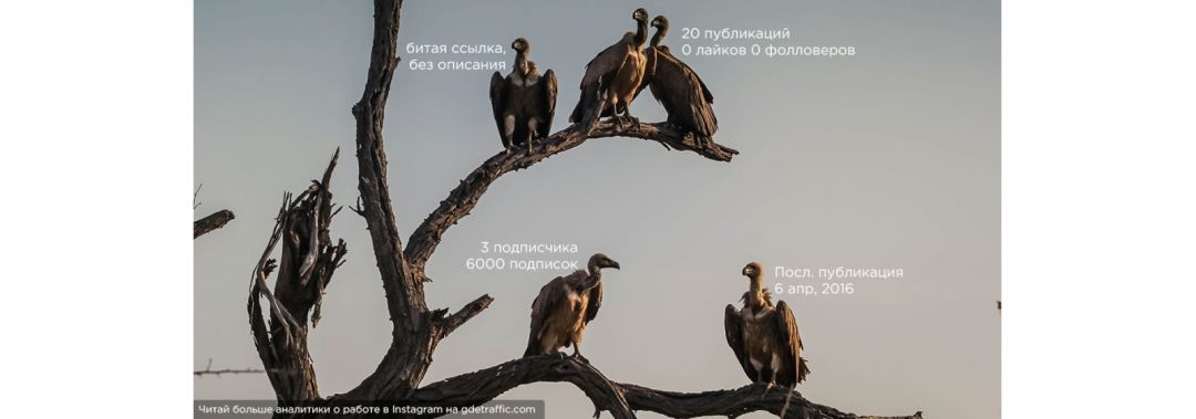 Как возраст аккаунта в Instagram влияет на выдачу постов в ТОПе по хештегам