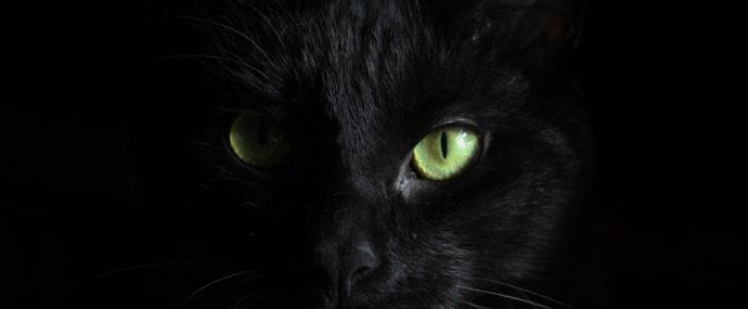 Черные, совсем черные дни у партнерок