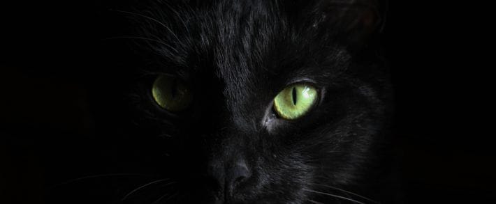 Черные, совсем черные дни у партнерок