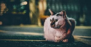 Порция горячих новостей от партнерок