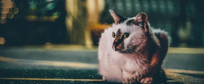 Порция горячих новостей от партнерок