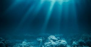 За что AdmitAd уже второй месяц говорит нам об AdmitAd Expert и кто запустил невидимые лифчики читай в дайджесте партнерок №13 (17-23 октября)