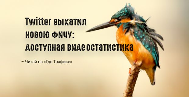 Twitter начал считать просмотры видеороликов