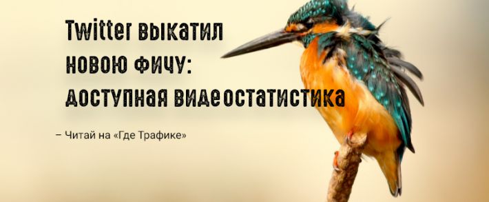 Twitter начал считать просмотры видеороликов