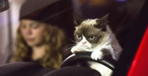 Заряжаемся новогодним настроением от партнерок