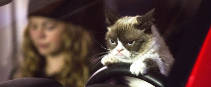 Заряжаемся новогодним настроением от партнерок