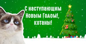 Где Трафик раздает новогоднее настроение