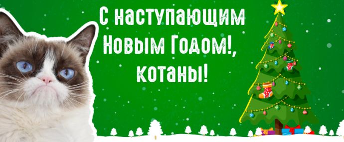 Где Трафик раздает новогоднее настроение