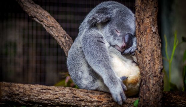 Партнерки, пора просыпаться!