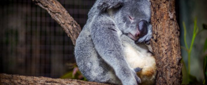 Партнерки, пора просыпаться!