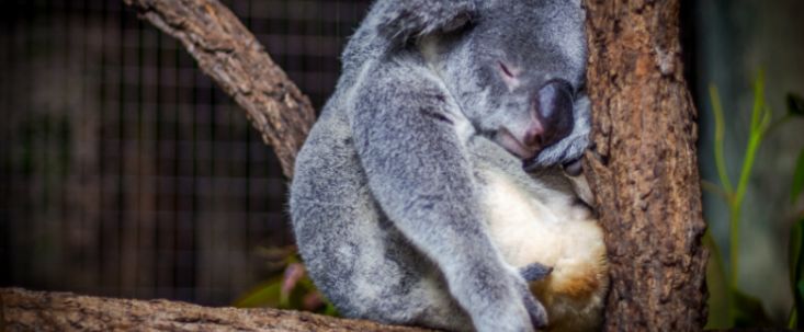 Партнерки, пора просыпаться!