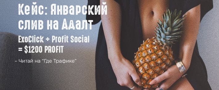Небольшой январский слив на Адалт (ExoClick и Profit Social равно 1200 баксов PROFIT)