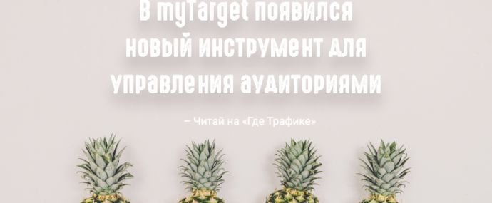 myTarget начал тестировать раздел «Сегменты аудиторий»