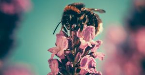 Весеннее обострение у партнерок