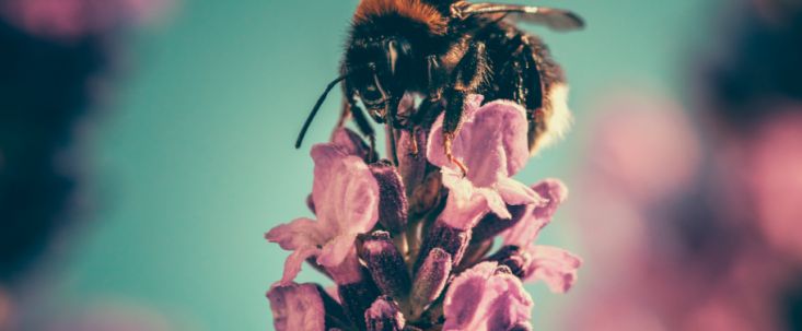 Весеннее обострение у партнерок