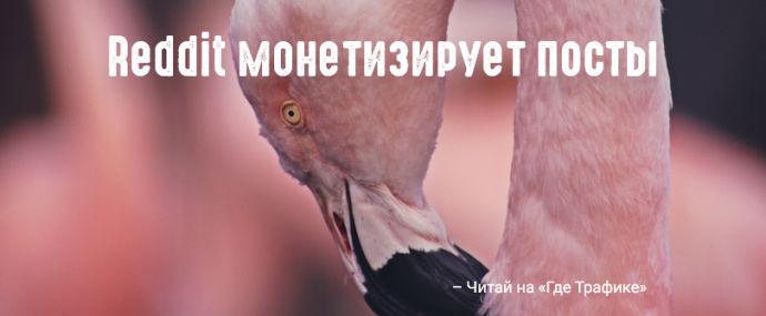 Reddit запускает рекламу постов на мобильном приложении