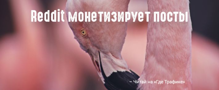 Reddit запускает рекламу постов на мобильном приложении