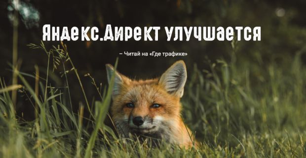 Яндекс.Директ: ограничение максимальной ставки и новый формат для размещения рекламы