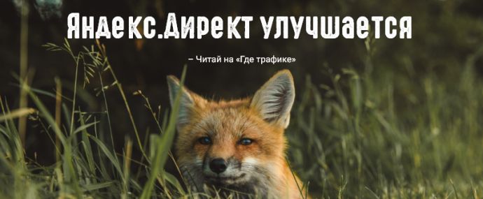 Яндекс.Директ: ограничение максимальной ставки и новый формат для размещения рекламы