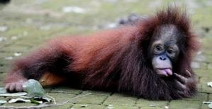 Число переходов с Facebook на сайты упало на 32%