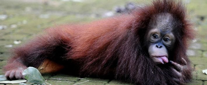 Число переходов с Facebook на сайты упало на 32%