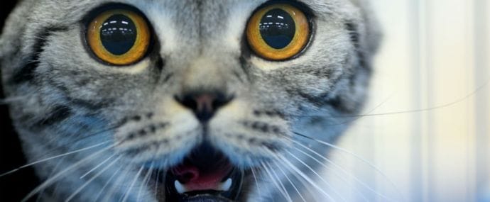 Роскомнадзор собирается взяться за контекстную рекламу