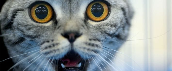 Роскомнадзор собирается взяться за контекстную рекламу