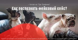 Палевные кейсы или как нам вешают лапшу