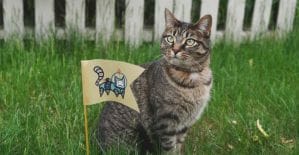 Как партнерки поработали на этой неделе