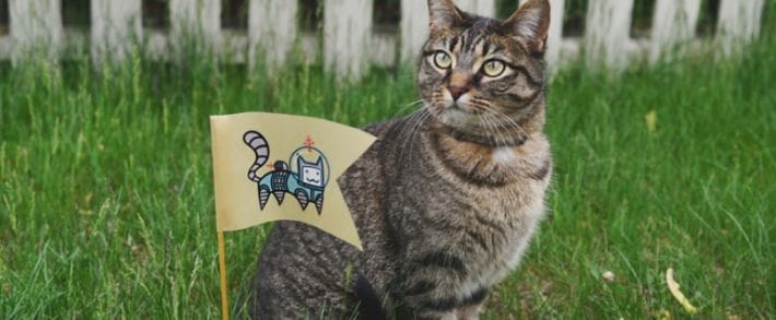 Как партнерки поработали на этой неделе