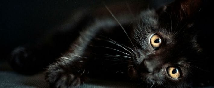 Под допросом: очередной контекстолог