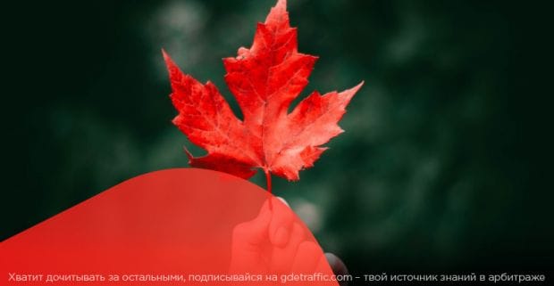 Прощай лето, привет работа