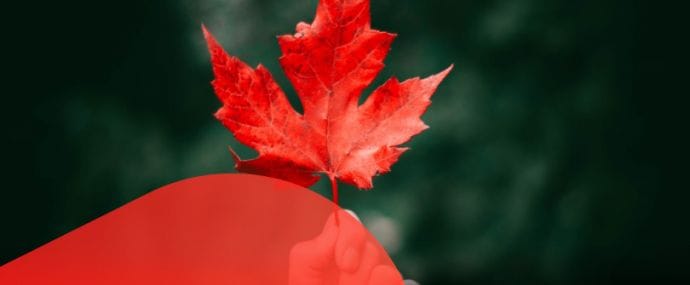 Прощай лето, привет работа