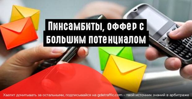 Все, что вы хотели знать о пинсабмитах