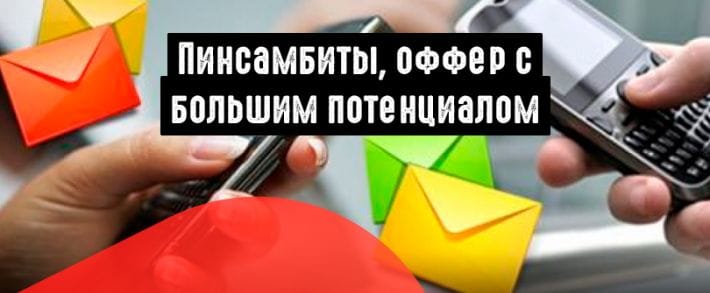 Все, что вы хотели знать о пинсабмитах