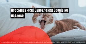 Google: брендовые запросы и отказ от демонстрации данных о местах размещения на YouTube в API AdWords