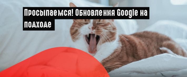 Google: брендовые запросы и отказ от демонстрации данных о местах размещения на YouTube в API AdWords