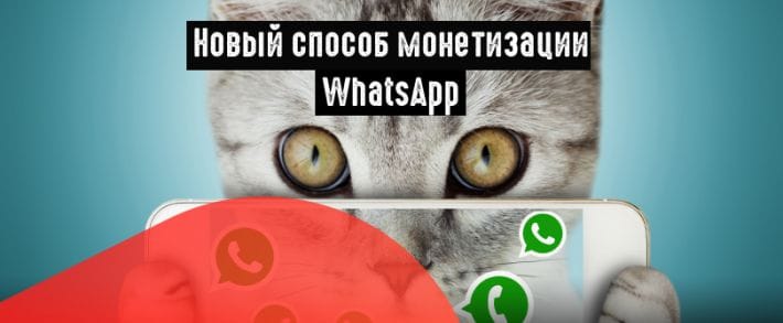 WhatsApp запускает таргетированную рекламу в статусах