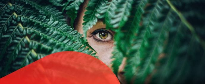 Взгляни на партнерки по-новому: iMonetizeIt, KMA.BIZ, AdCombo и Admitad