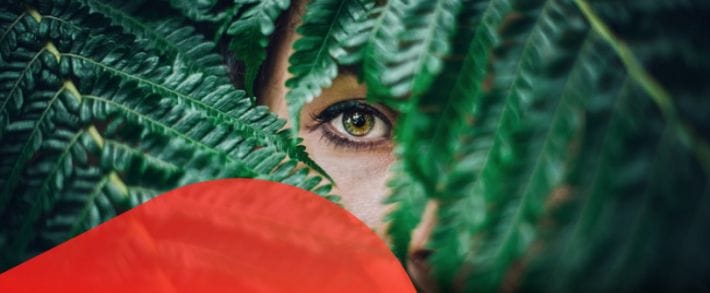 Взгляни на партнерки по-новому: iMonetizeIt, KMA.BIZ, AdCombo и Admitad