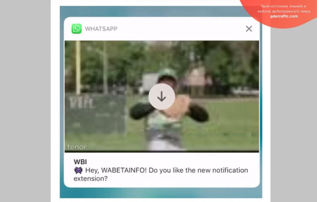 WhatsApp: личные ответы, предварительный просмотр мультимедиа и многое другое
