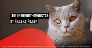 Яндекс.Радар представил список топовых Интернет-проектов