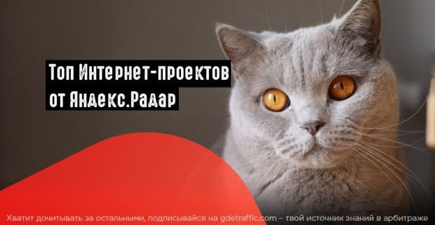 Яндекс.Радар представил список топовых Интернет-проектов